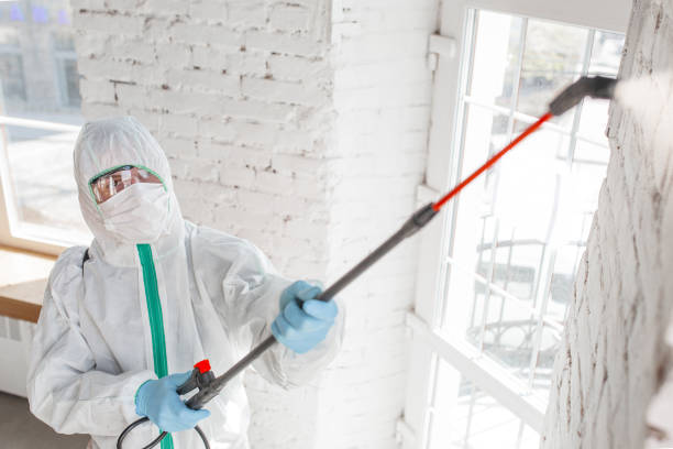 Best Mold Removal for HVAC Installations  in Port Byron, IL