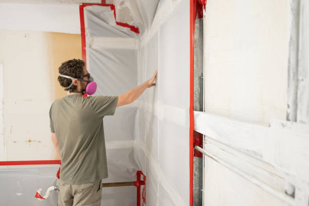 Mold Remediation for Vacation Homes in Port Byron, IL